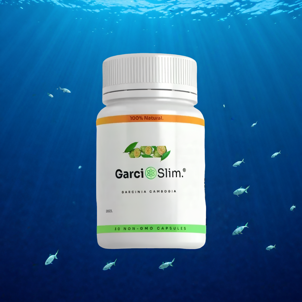 GarciSlim - 1 Bottle